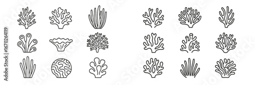 Collection of coral illustrations showcasing various underwater plant forms and textures in a detailed line art style