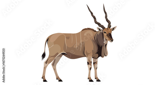 Majestic Eland Antelope Wildlife Photography Stock Image