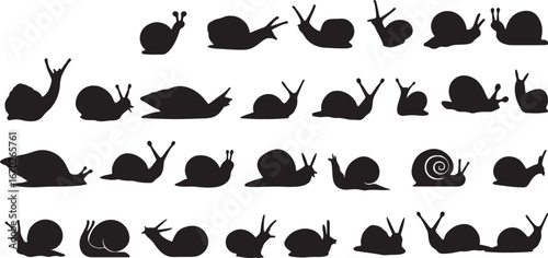 snail, silhouette, mollusk, gastropod, shell, slime, slow, nature, animal, insect, invertebrate, creature, wildlife, garden, crawling, movement, black, design element, icon, symbol, illustration, grap