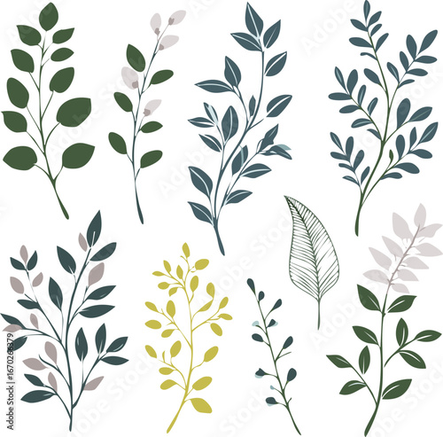 Set of elegant calligraphic botanical design elements in silhouette style. Floral decor and graceful branches.element, border, flourish, invitation, boarder, calligraphic, divider, drawing.vector 