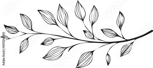 Set of elegant calligraphic botanical design elements in silhouette style. Floral decor and graceful branches.element, border, flourish, invitation, boarder, calligraphic, divider, drawing.vector 