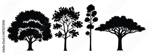 Silhouette Trees Collection, Natural Forest Tree Shapes, Black Trees on White Background, Detailed Tree Vector Illustration