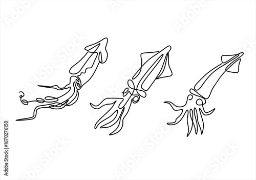 Line Art Squid. continuous line drawing. Editable stroke.
