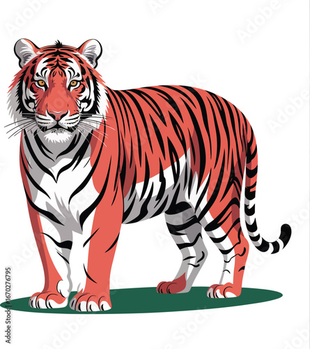 Isolated vector illustration of a wild bengal tiger on a white background with striped fur