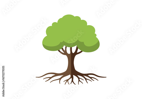 A stylized illustration of a green tree with visible roots spreading outwards against a white background.