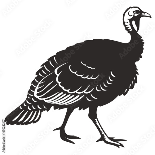 illustration of a turkey