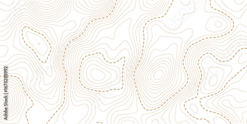 Abstract background of Topographic Contour Line Pattern. Vector illustration