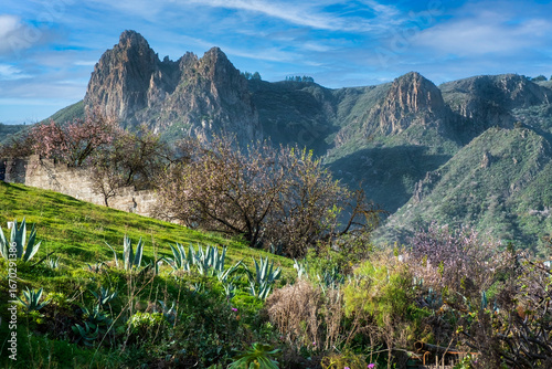 Volcano scenery and almond trees