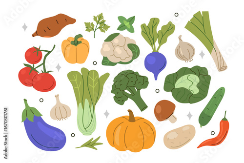 Vegetables and greens set. Cabbage, radish, pumpkin, mushroom, eggplant, tomato assortment collection. Harvesting concept. Vector illustration.
