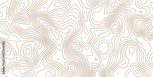 Topographic map background. Geographic line map with elevation assignments. Contour background geographic grid. Vector illustration.