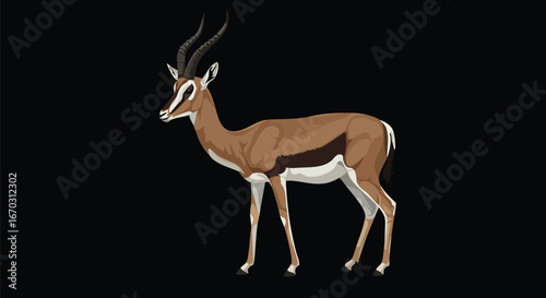 Illustration of a standing gazelle with long horns, isolated on black background.