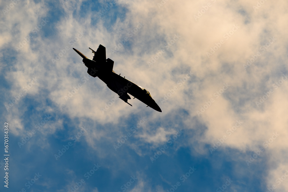 Fototapeta premium 美しい空・雲を背景に飛ぶ航空機