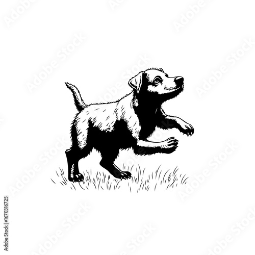 Energetic terrier leaping with playful glee in simple monochrome design exudes boundless canine
