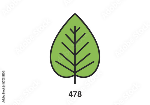 Illustration of a green leaf with veins on a white background, plant icon.