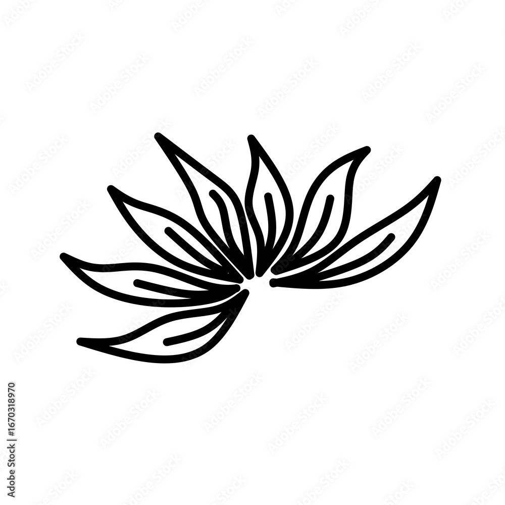 Fototapeta premium black and white flower