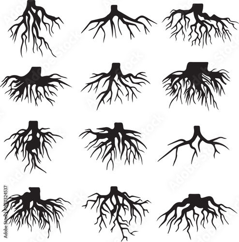 Tree roots set. Black image of roots underground, part of the body of a plant grows downward into the soil. Vector flat style cartoon illustration isolated on white background
