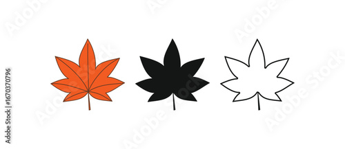 Maple leaf icon set. This vector features a colorful, silhouette, and outline version of a single autumn leaf. Perfect for seasonal designs, logos, and graphic projects