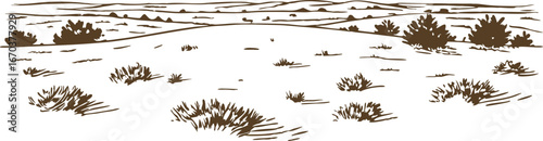 Desert landscape illustration, arid plain with shrubs and distant hills dry wilderness, sparse vegetation, vast horizon