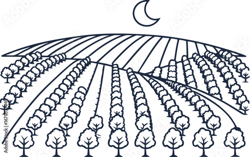 Orchard landscape outline with moon fruit trees in orderly rows on hillside at night, rural agriculture scene