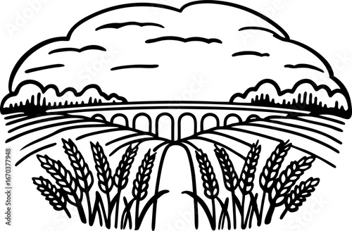 Wheat field landscape with viaduct bridge and cloudy sky rural agriculture scene, farmland harvest