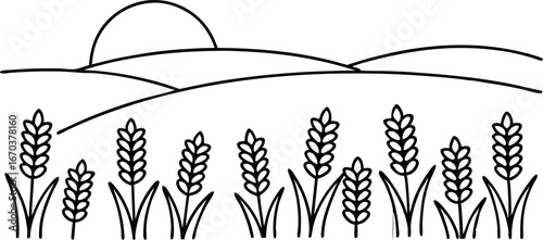 Wheat field outline with sunrise agricultural landscape, rural hills, simple black and white farmland scenery