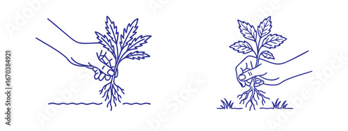  Weed Removal vector illustration  Illustration