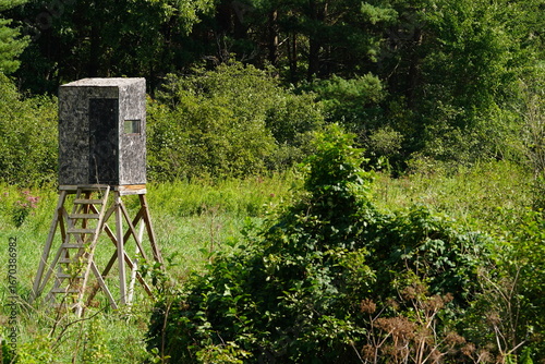 Human made deer hunting tree stand was placed out in the forest area.