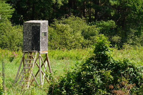 Human made deer hunting tree stand was placed out in the forest area.