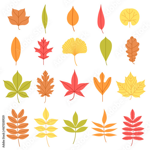 Flat vector set of colorful autumn leaves in various shapes. Simple orange, red, yellow, brown, green fall leaf set for scrapbooking, card, pattern, banner, textile, packaging, printable, kids design.