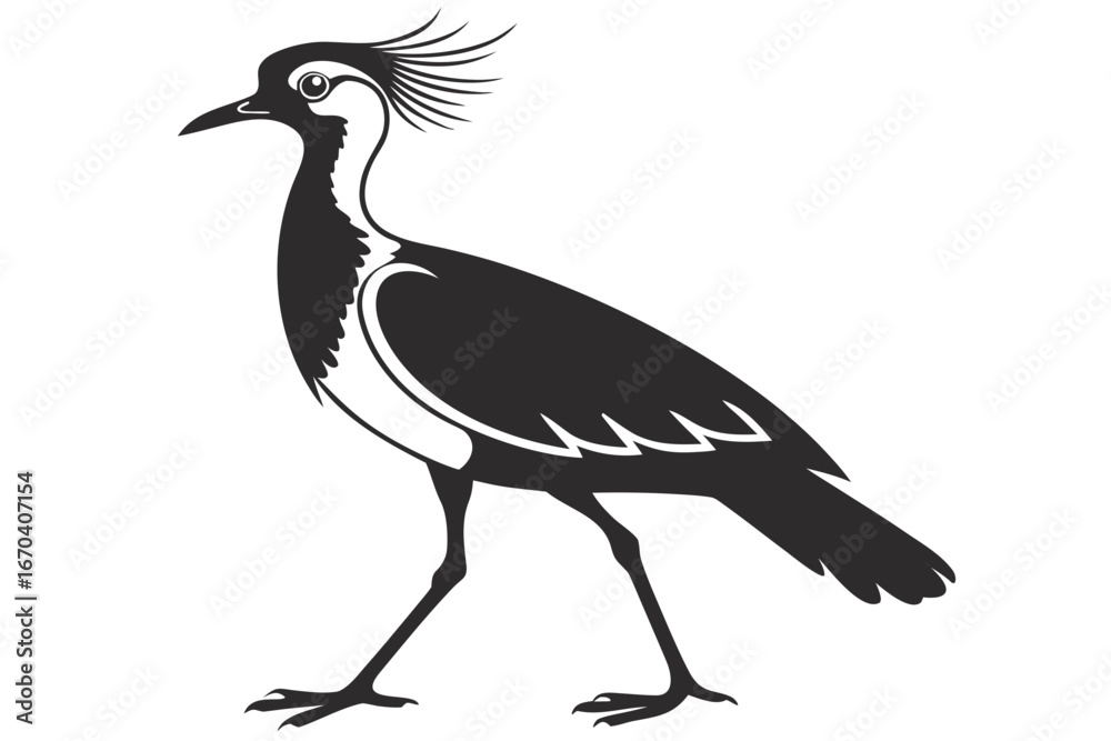 Fototapeta premium Lapwing sihouette black vector