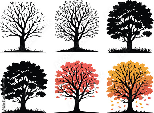 Seasonal tree illustration set, deciduous tree changes, spring, summer, autumn, winter, nature design, foliage color, vector sketch