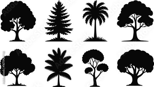 Tree silhouette collection, black vector icons, tropical trees, conical shapes, stylized foliage, nature clipart, forest design, botanical graphic, landscape element