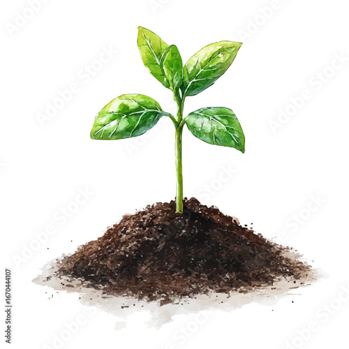 Young Sprouts Fresh Soil, watercolor painting vector, isolated on a white background.