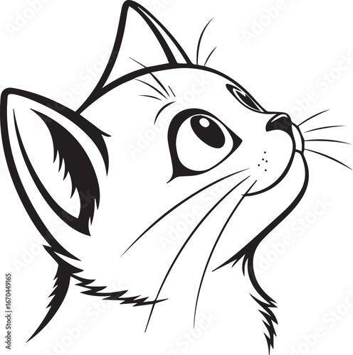 Curious Feline Gaze Up