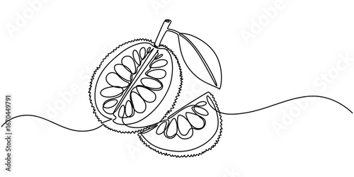 Jackfruit continuous one line drawing, Single continuous line drawing sliced healthy organic jackfruit for orchard logo identity. Fresh tropical fruit concept for fruit garden icon. Modern one line