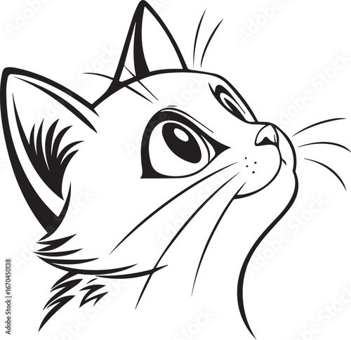 Curious Cat's Gaze