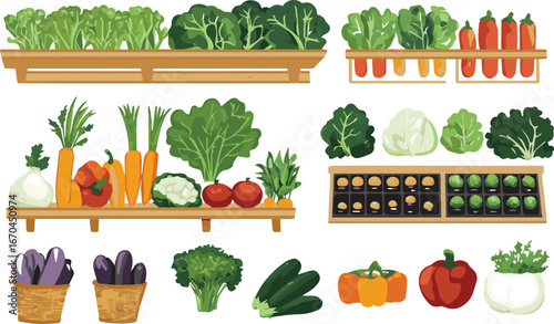 Set of vegetables and herbs in pots vector illustration