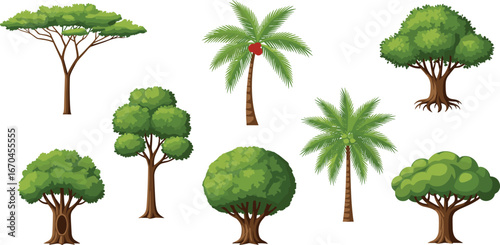 Cartoon tree vector set with tropical and broadleaf species, diverse foliage and trunk styles for nature, education, and landscape design