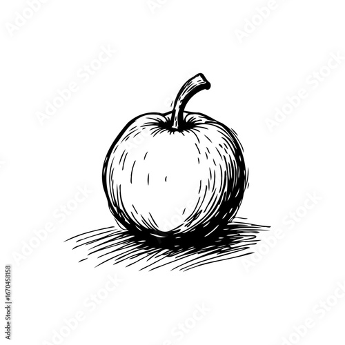 Sketchy delight of a monochrome apple illustration conveying simplicity and freshness, food art