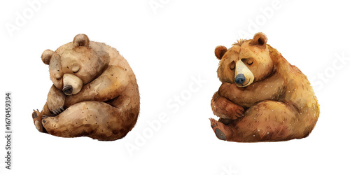 hibernating bear watercolor vector illustration