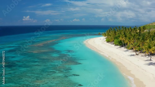 Serene Tropical Beach with Turquoise Waters and Palm Trees for Summer Vacation Vibes