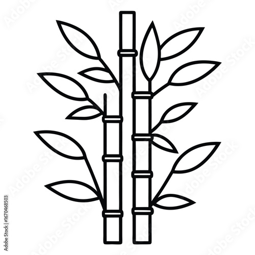 bamboo vector outline icon