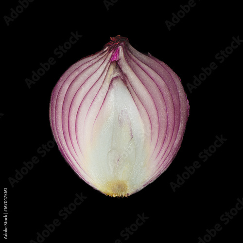 Red Onion Half Isolated on Black Background