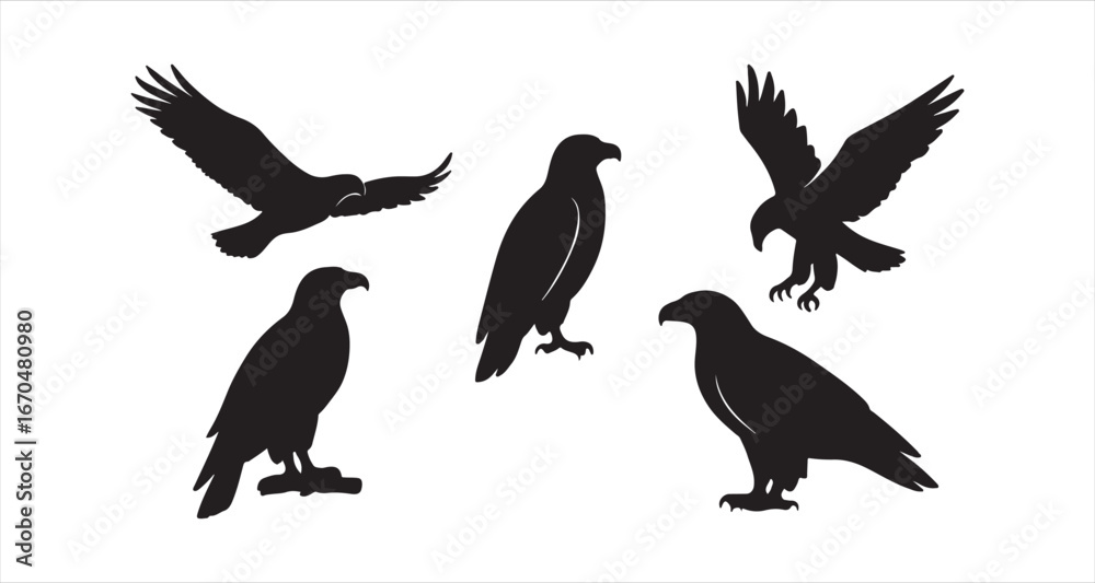 Obraz premium 4 eagle silhouettes on white background