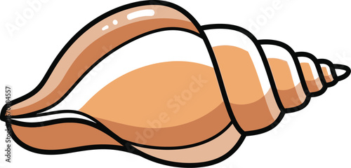 Illustration of a tan conch shell with dark brown outlines on a white background