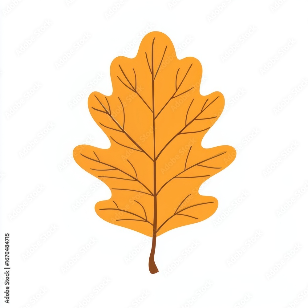 Obraz premium Autumn reniform leaf illustration simple fall.