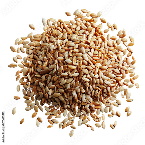 A pile of small, light brown seeds with a slightly glossy finish, showcasing their natural texture and shape.