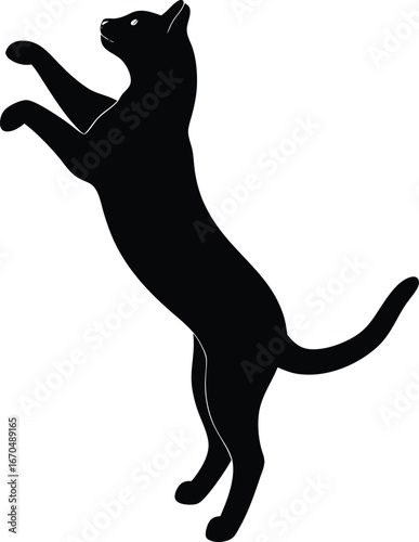 Black Cat Silhouette Standing on Hind Legs, Stretching Upwards - Vector Illustration