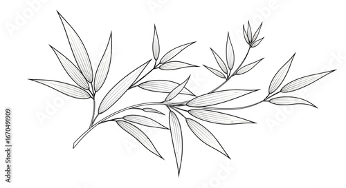 Minimalist line art of graceful bamboo branches with slender leaves, conveying a serene Asian mood and natural elegance on an isolated white background.
