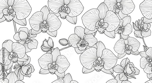 Seamless pattern of delicate orchid flowers and buds in detailed black and white line art, creating an elegant floral background on an isolated white background.
